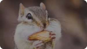 Immagine di copertina per: Leptina e grelina: ormoni di fame e sazietà