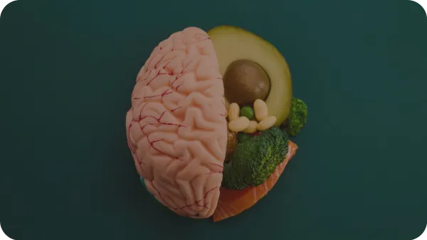Omega-3 e cervello: tutti i benefici