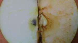 Acido alfa lipoico benefici e utilità – immagine in evidenza