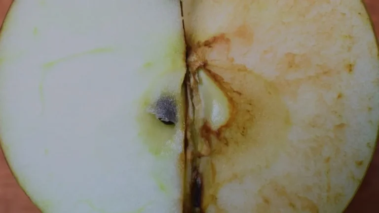 Acido alfa lipoico benefici e utilità