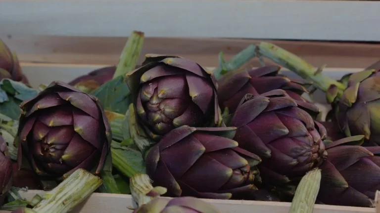 Estratto di carciofo: effetti su digestione e colesterolo