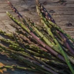 Asparagi di campo