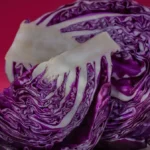 Cavolo cappuccio rosso