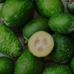 Feijoa