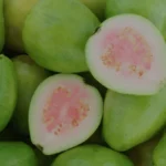 Guava