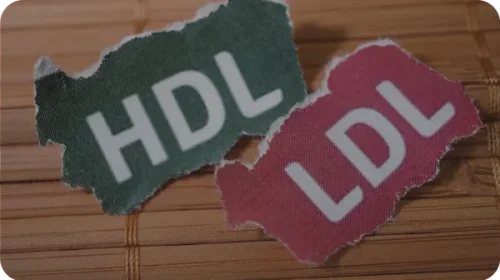 Colesterolo ldl e hdl